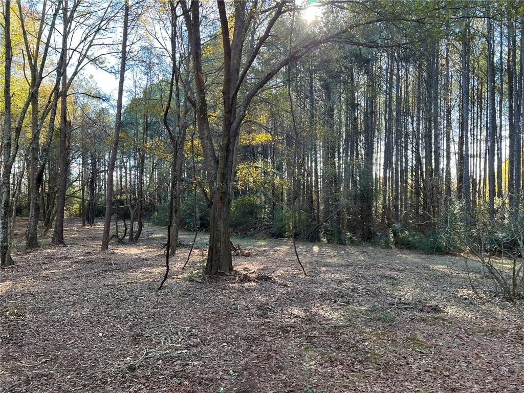 264 Euharlee Road Southwest Cartersville, GA 30120 - Photo 43 of 45 a view of outdoor space with lots of trees