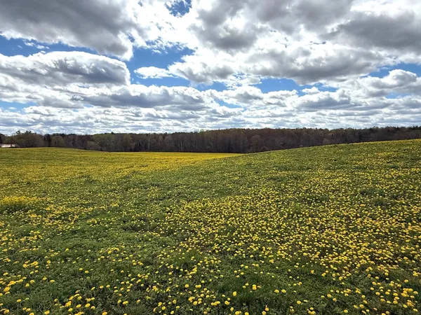 $349,900 | Elm Road, Birnamwood, WI 54414