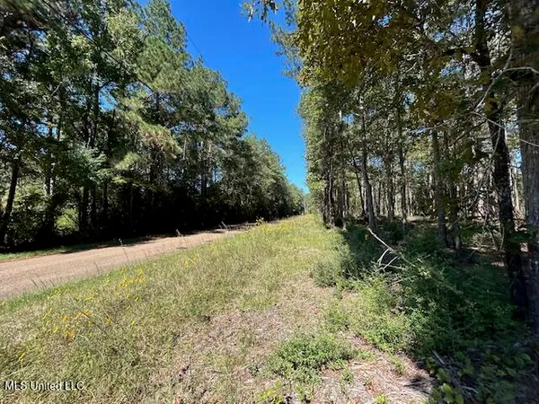 $35,139 | Country Lake Dr Summit, Summit, MS 39666