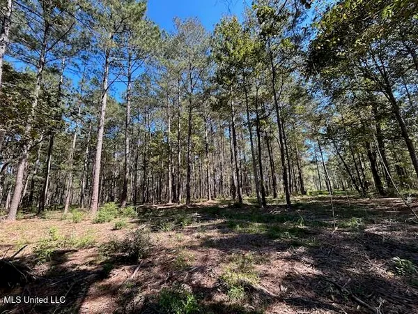 $35,139 | Country Lake Dr Summit, Summit, MS 39666