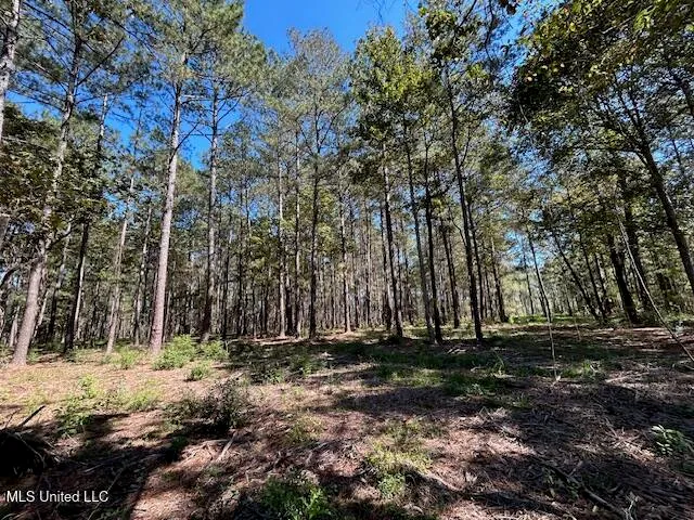 $44,200 | Country Lake Dr Summit, Summit, MS 39666