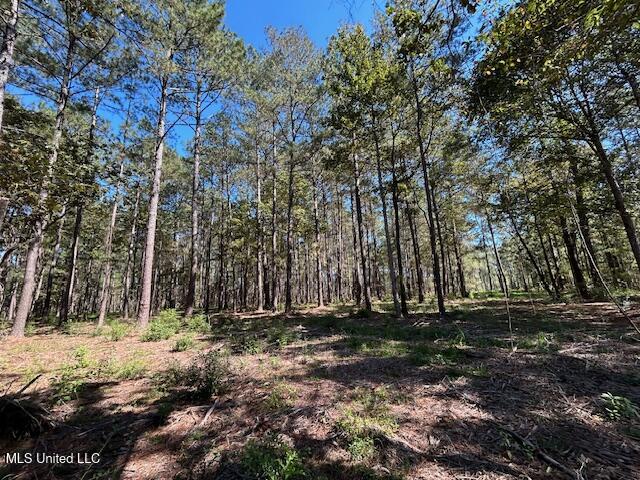 Country Lake Dr Summit Summit, MS 39666 - Photo 3 of 8 IMG_1631
