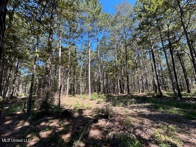 $44,200 | Country Lake Dr Summit, Summit, MS 39666