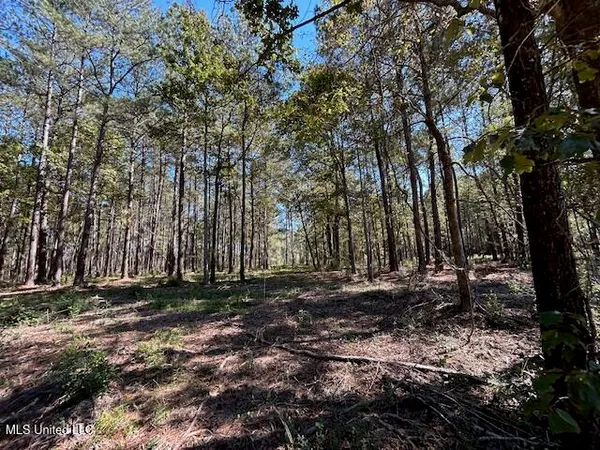 $35,139 | Country Lake Dr Summit, Summit, MS 39666