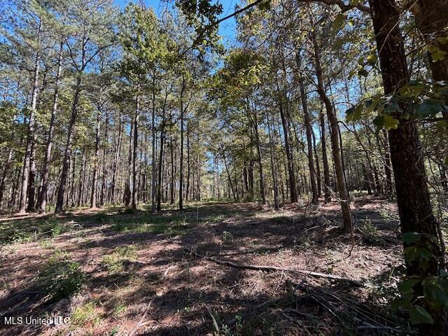 Country Lake Dr Summit Summit, MS 39666 - Photo 5 of 8 IMG_1629