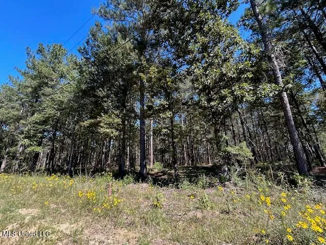 $44,200 | Country Lake Dr Summit, Summit, MS 39666