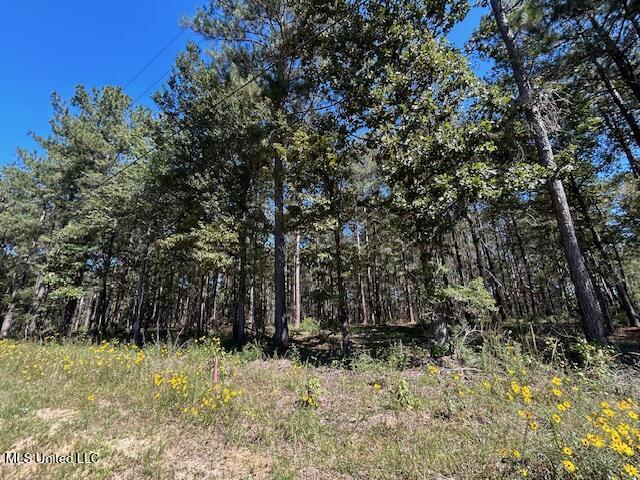 Country Lake Dr Summit Summit, MS 39666 - Photo 6 of 8 IMG_1628