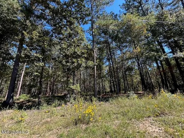 $35,139 | Country Lake Dr Summit, Summit, MS 39666