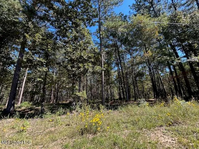 $44,200 | Country Lake Dr Summit, Summit, MS 39666