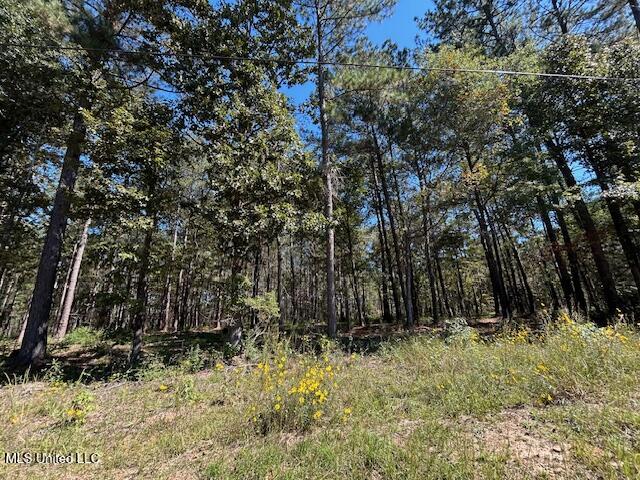 Country Lake Dr Summit Summit, MS 39666 - Photo 7 of 8 IMG_1627