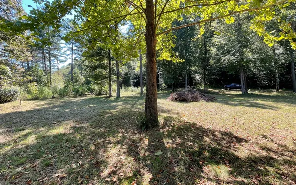 a view of a yard with trees