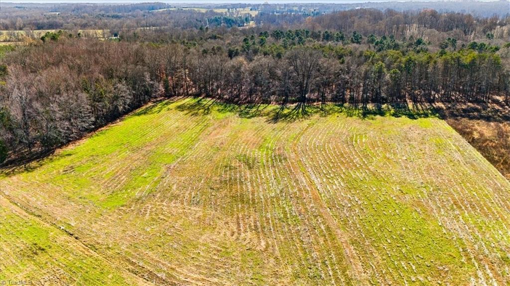 28-acres Angell Road Mocksville, NC 27028 - Photo 11 of 13