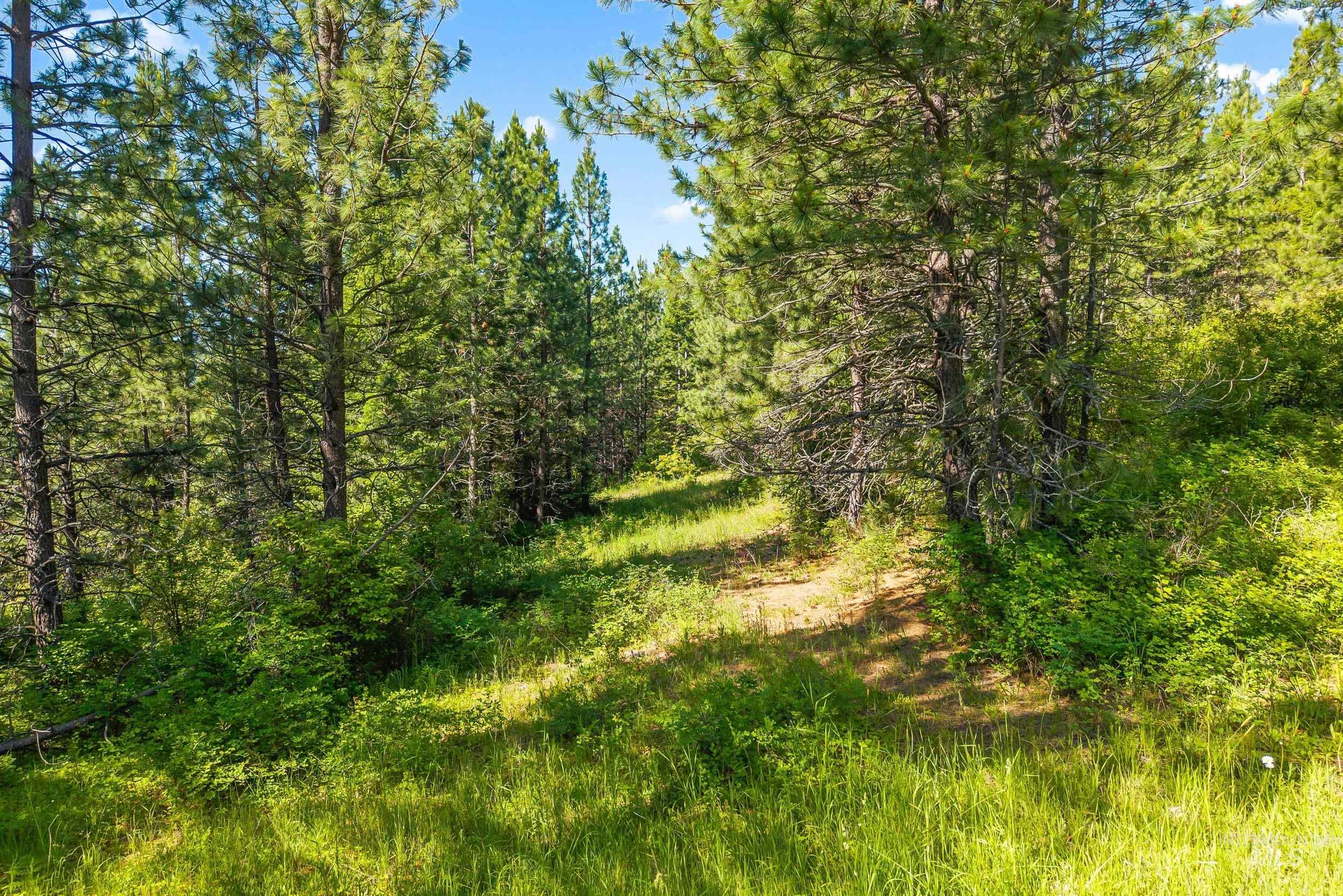 Abc Abc Gold Cup Road Priest River, ID 83856 - Photo 21 of 24
