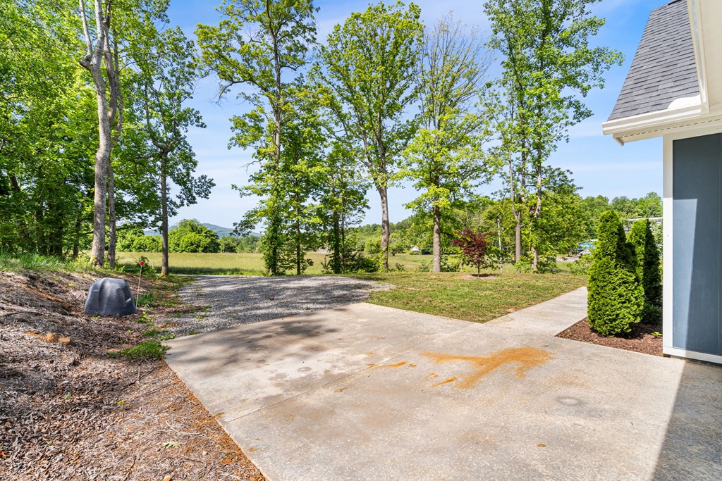 91 Dewey Ridge Lane Hayesville, NC 28904 - Photo 11 of 40 a view of a yard with plants and trees