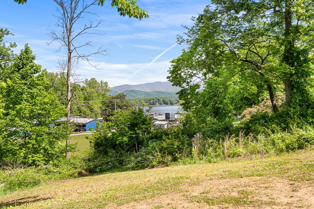 91 Dewey Ridge Lane Hayesville, NC 28904 - Photo 17 of 40 a view of a yard