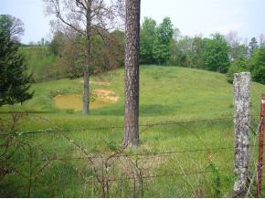 402 McKeehan Ridge Road Elizabethton, TN 37643 - Photo 8 of 9 Photo 8