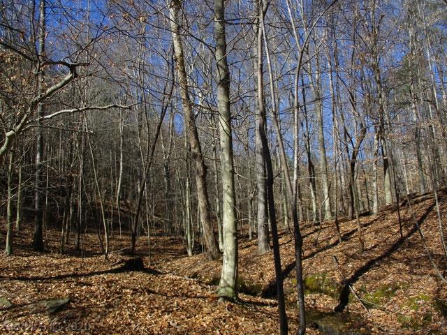 220 Bus Road Stoneville, NC 27048 - Photo 23 of 40 Gallery Image 23
