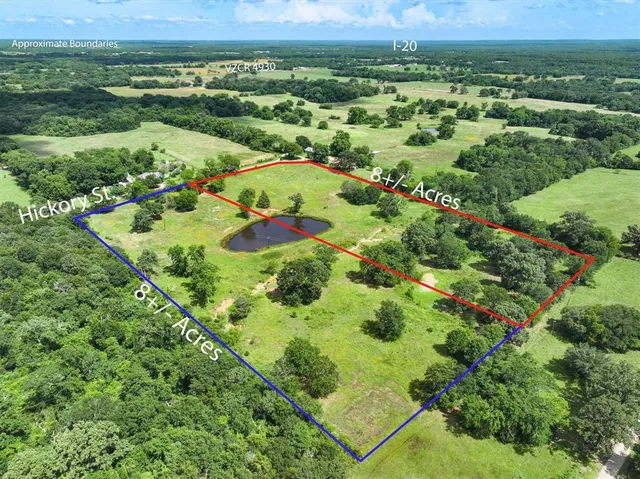 an aerial view of green landscape with trees houses and mountain view