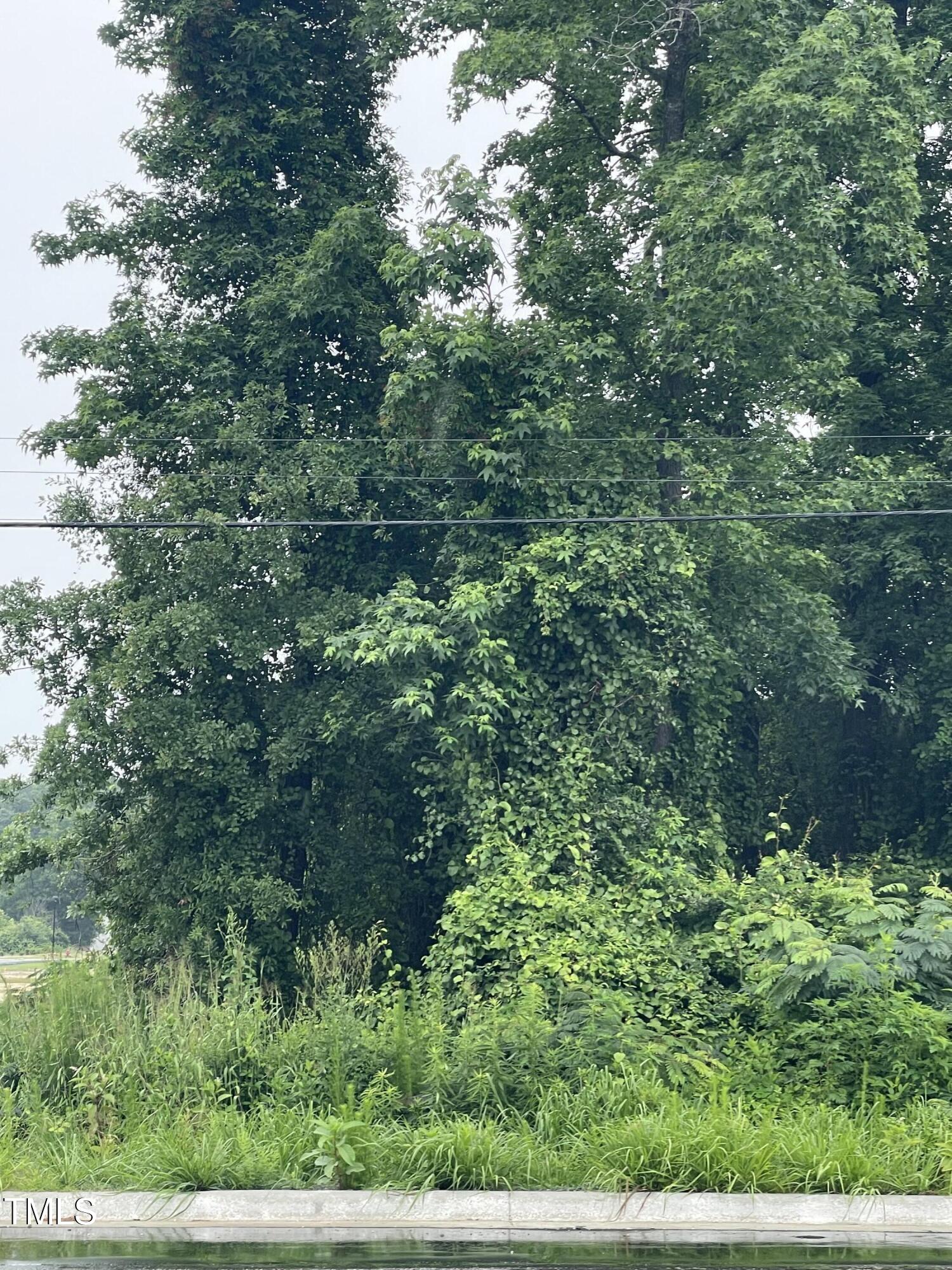 1502 Erwin Road Dunn, NC 28334 - Photo 3 of 5 IMG_5468