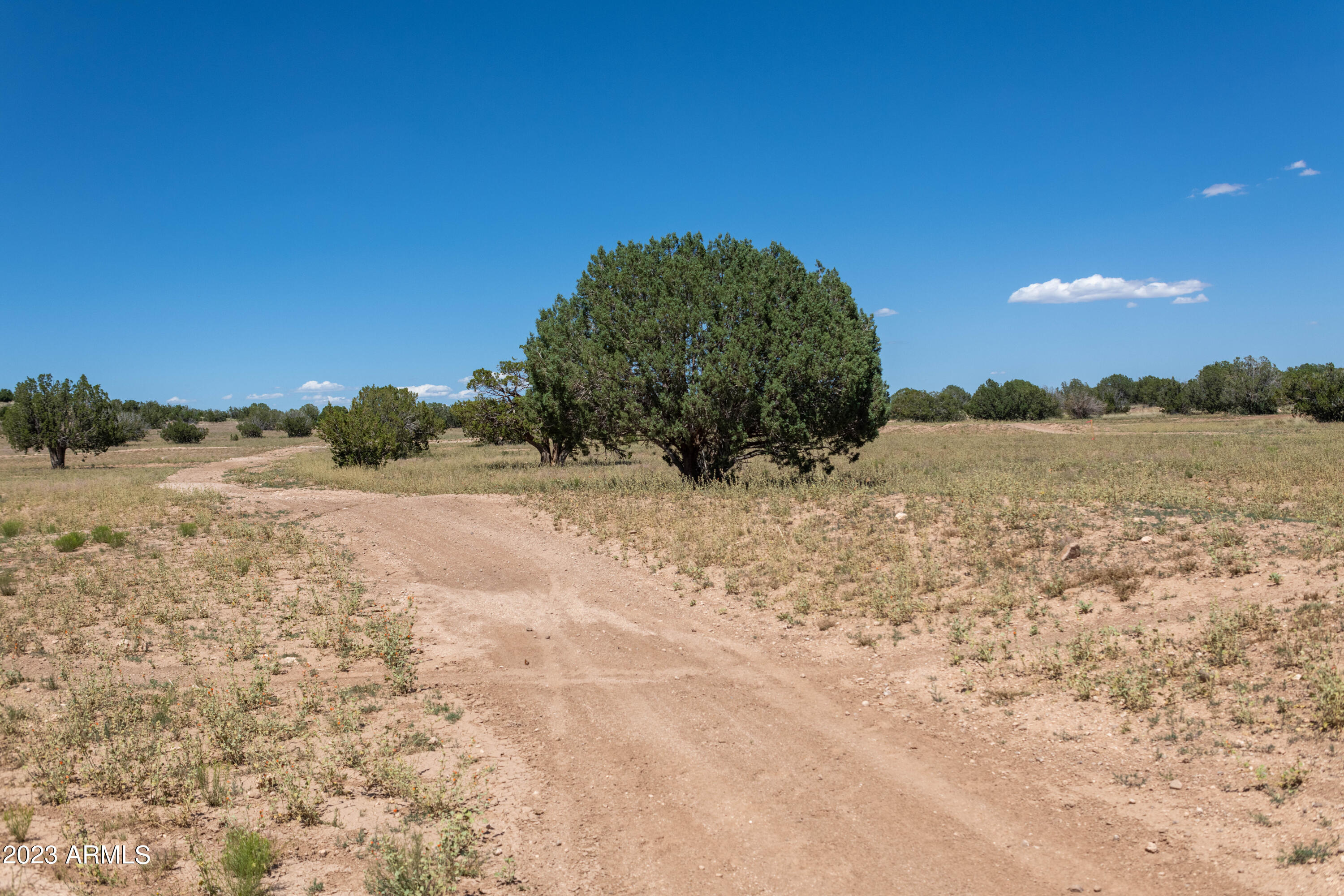 Lot D-2 Headwaters Road, Unit D2 Paulden, AZ 86334 - Photo 9 of 13 DSC_6335
