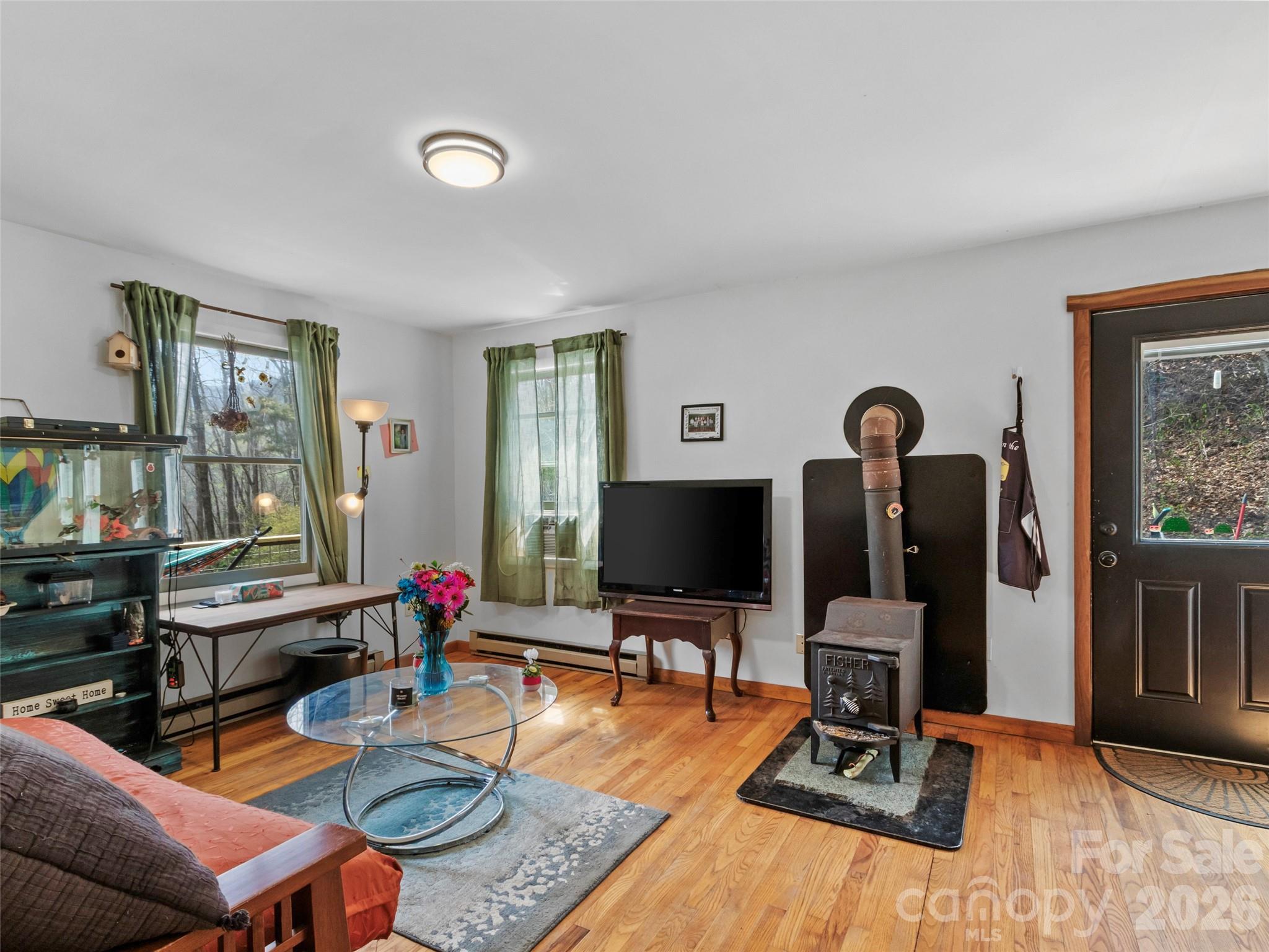 183 Stoney Fork Road Barnardsville, NC 28709 - Photo 13 of 33