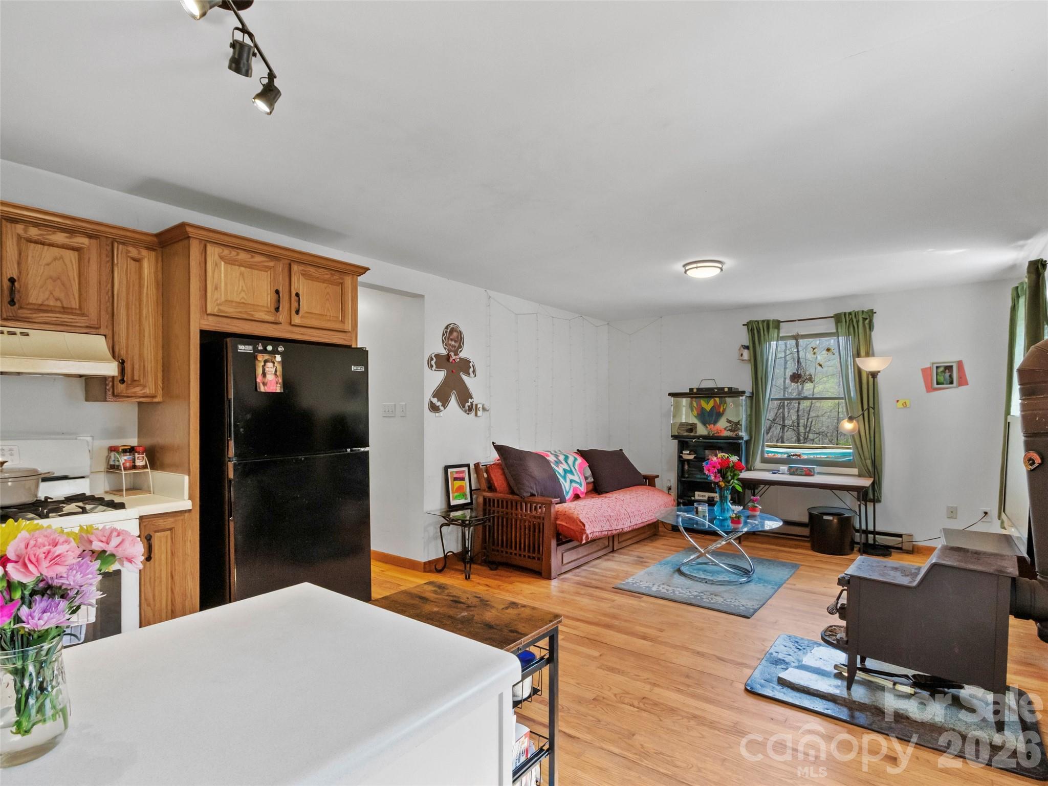 183 Stoney Fork Road Barnardsville, NC 28709 - Photo 17 of 33