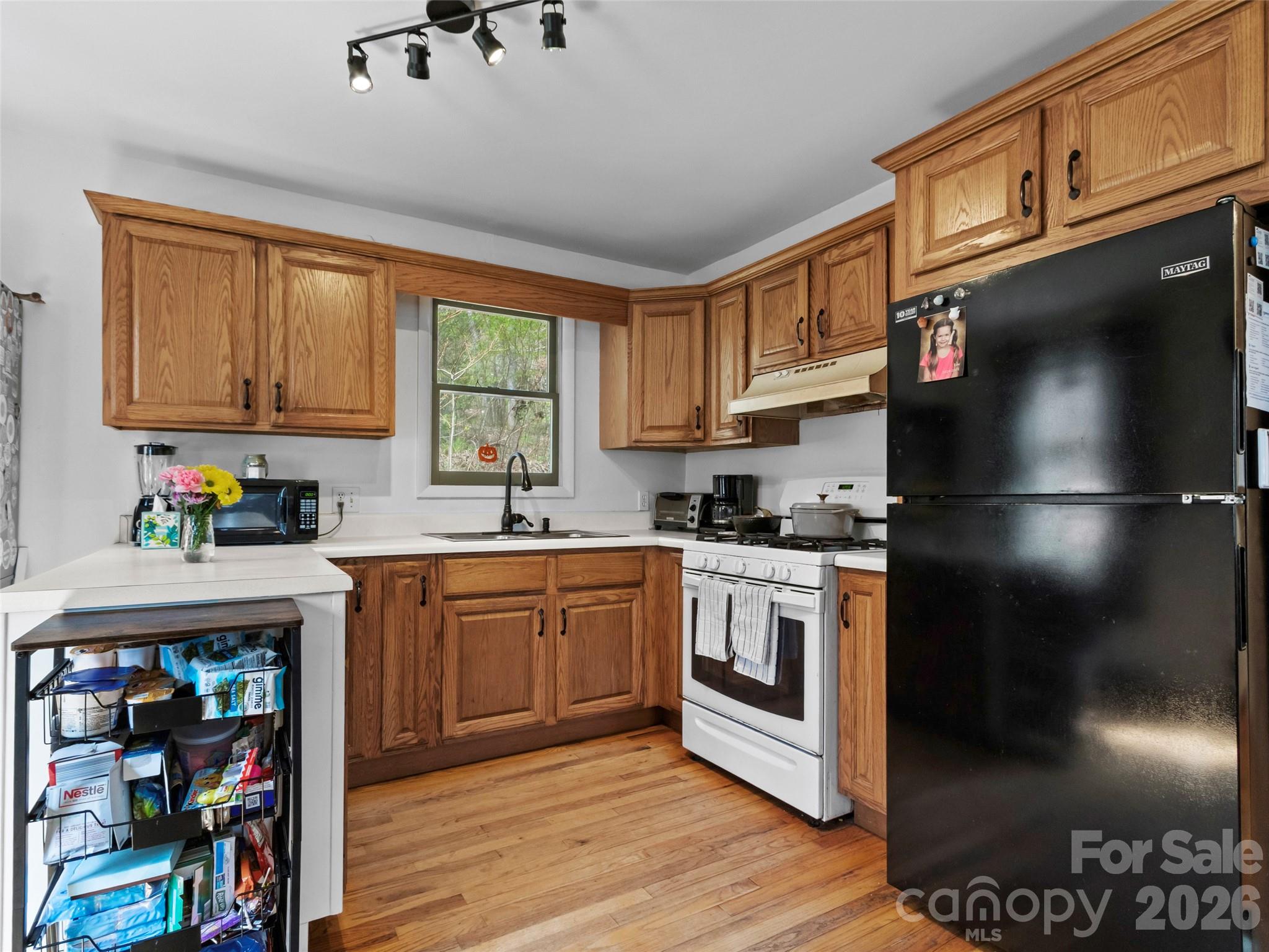 183 Stoney Fork Road Barnardsville, NC 28709 - Photo 18 of 33