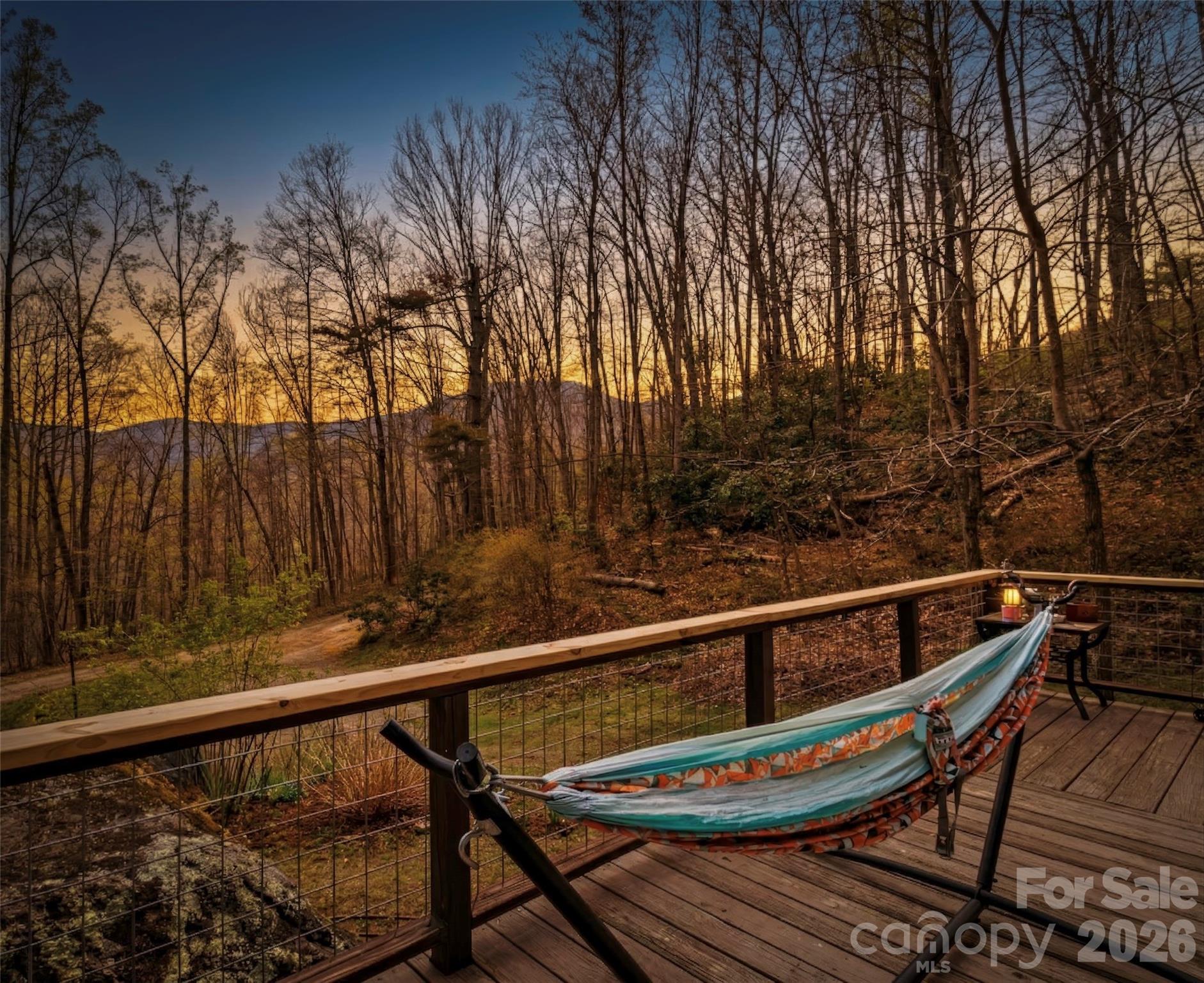 183 Stoney Fork Road Barnardsville, NC 28709 - Photo 33 of 33