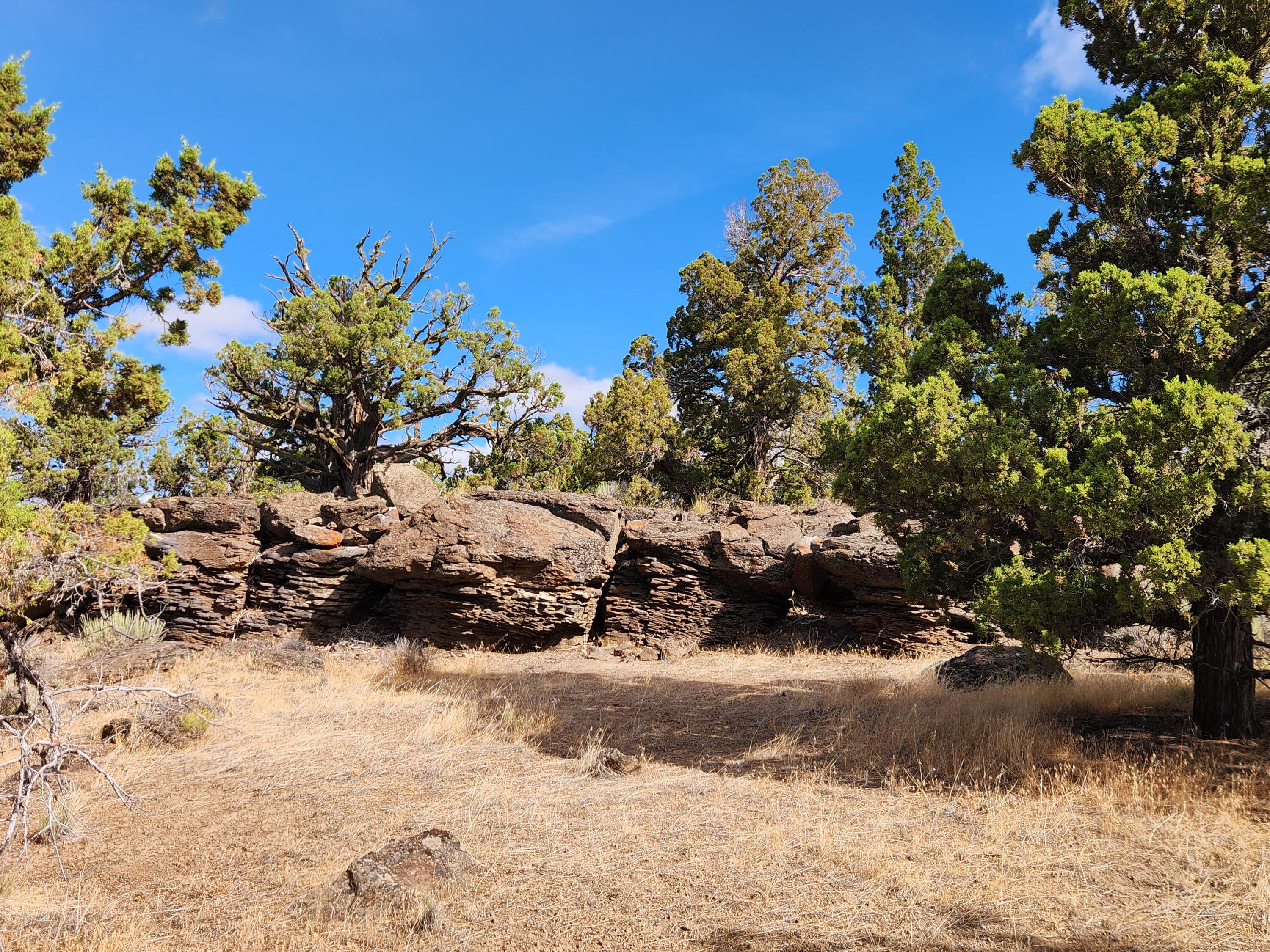 Fox Butte Road Bend, OR 97701 - Photo 11 of 27 20250807_094058