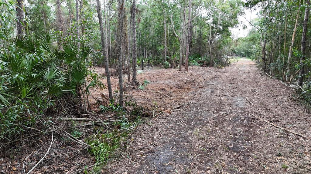 Pantera Lane Naples, FL 34120 - Photo 13 of 49