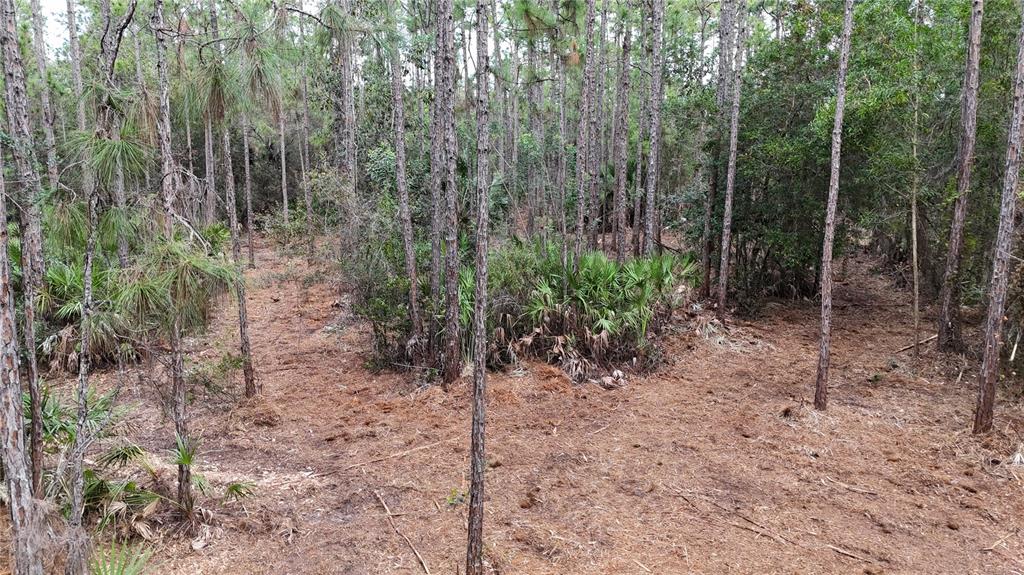 Pantera Lane Naples, FL 34120 - Photo 14 of 49