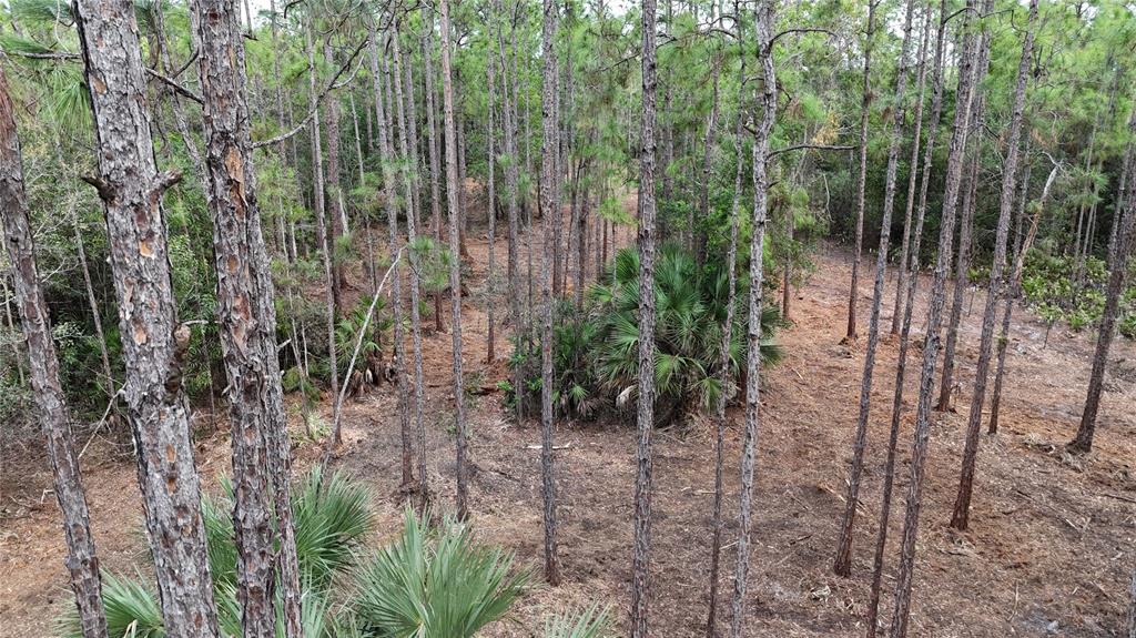 Pantera Lane Naples, FL 34120 - Photo 16 of 49