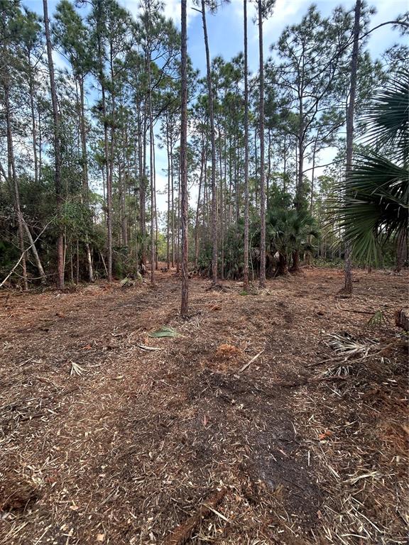 Pantera Lane Naples, FL 34120 - Photo 19 of 49