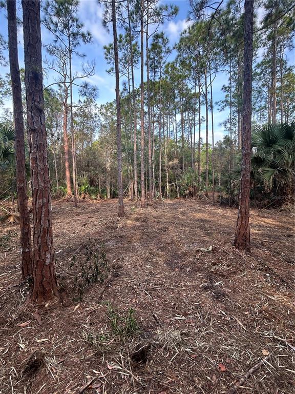 Pantera Lane Naples, FL 34120 - Photo 20 of 49