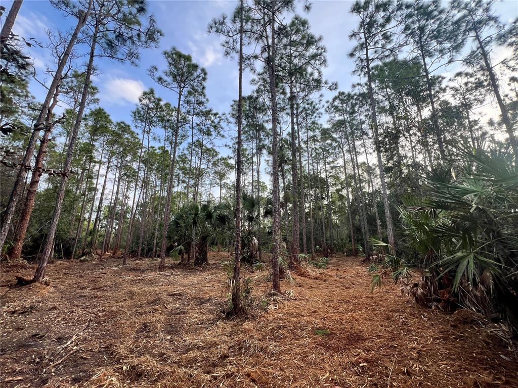 Pantera Lane Naples, FL 34120 - Photo 2 of 49