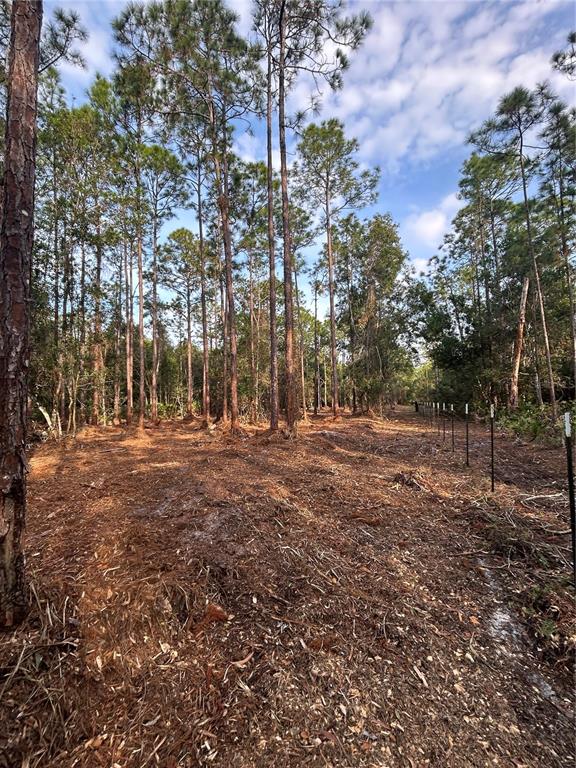 Pantera Lane Naples, FL 34120 - Photo 21 of 49