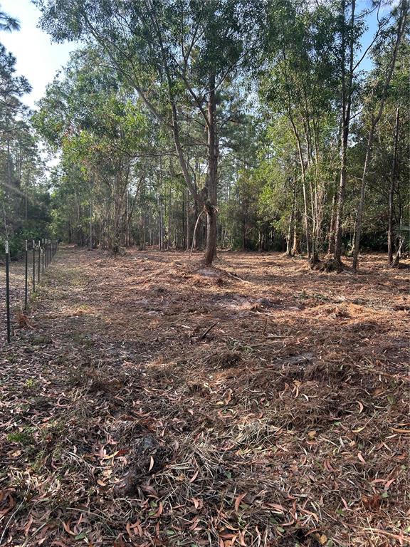 Pantera Lane Naples, FL 34120 - Photo 23 of 49