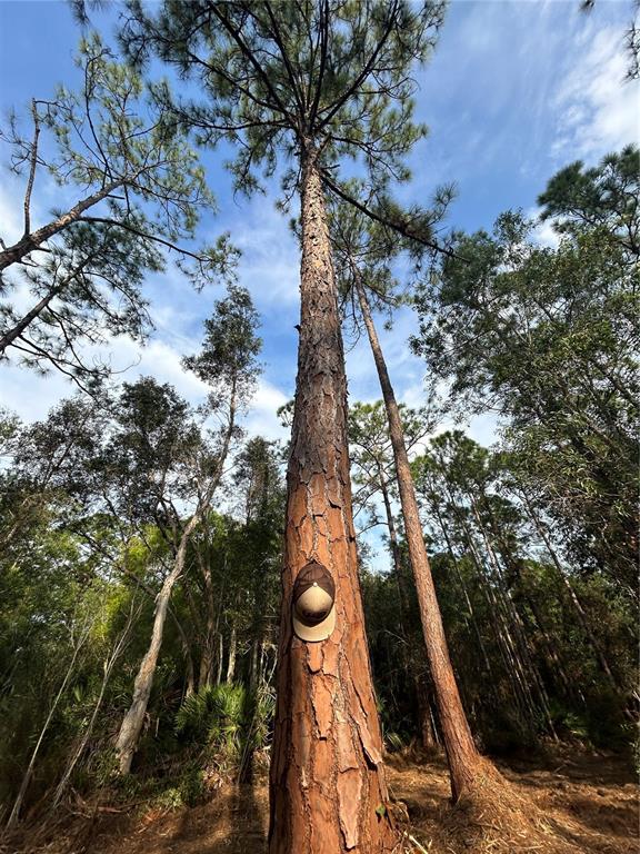 Pantera Lane Naples, FL 34120 - Photo 24 of 49