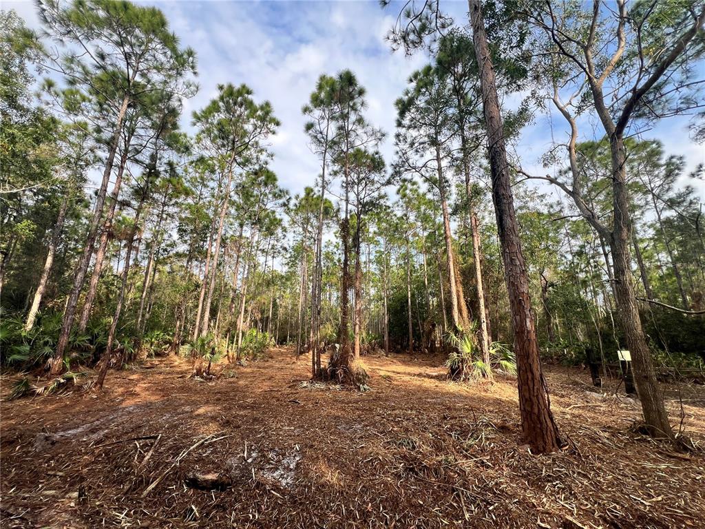 Pantera Lane Naples, FL 34120 - Photo 26 of 49