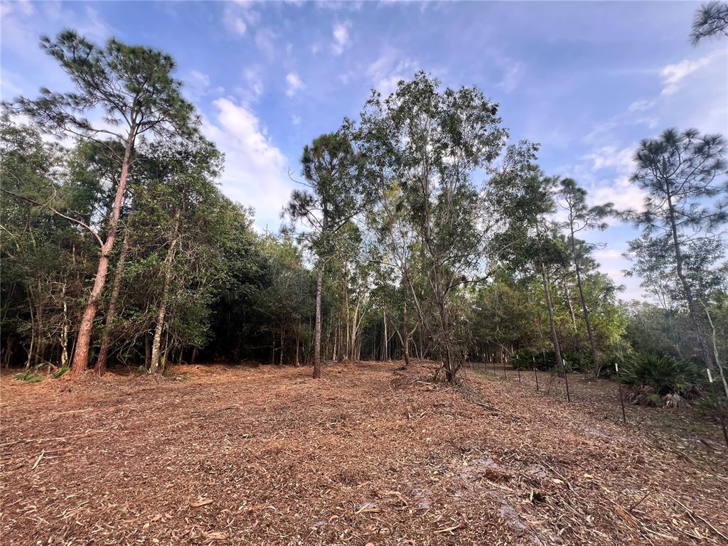 Pantera Lane Naples, FL 34120 - Photo 29 of 49