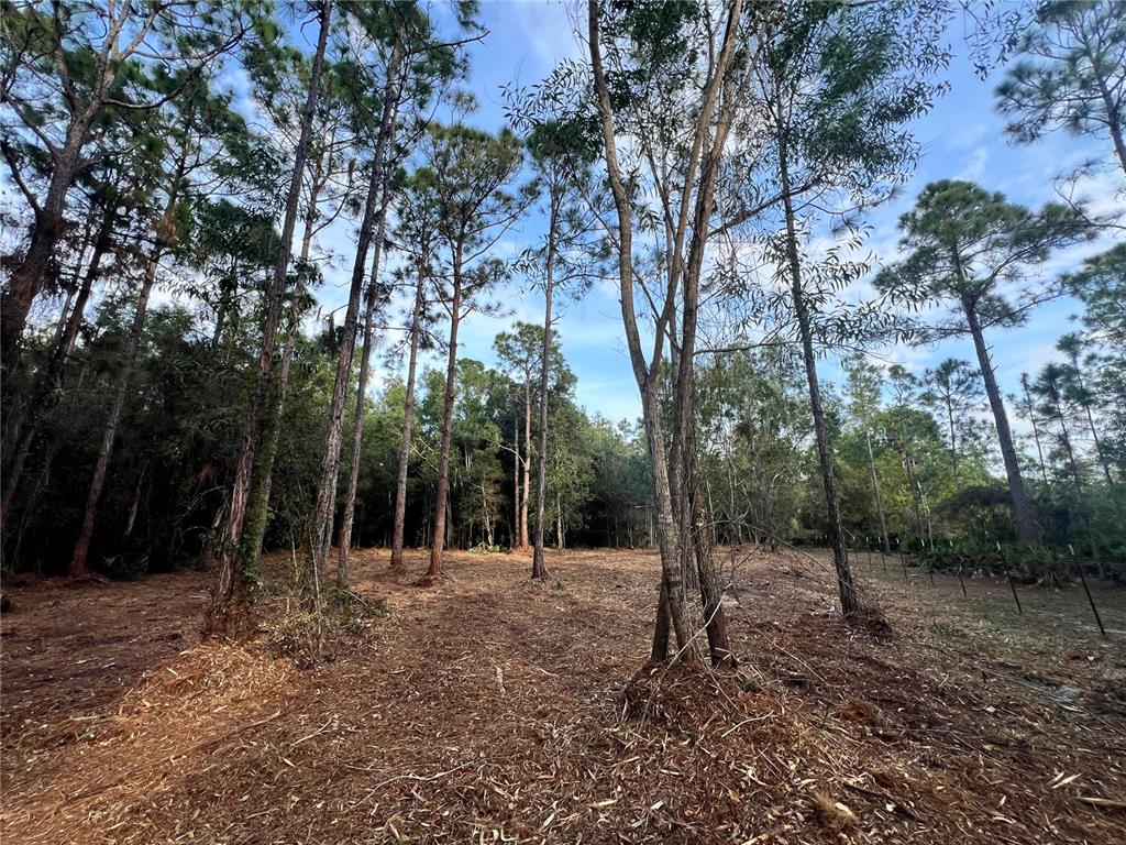 Pantera Lane Naples, FL 34120 - Photo 31 of 49