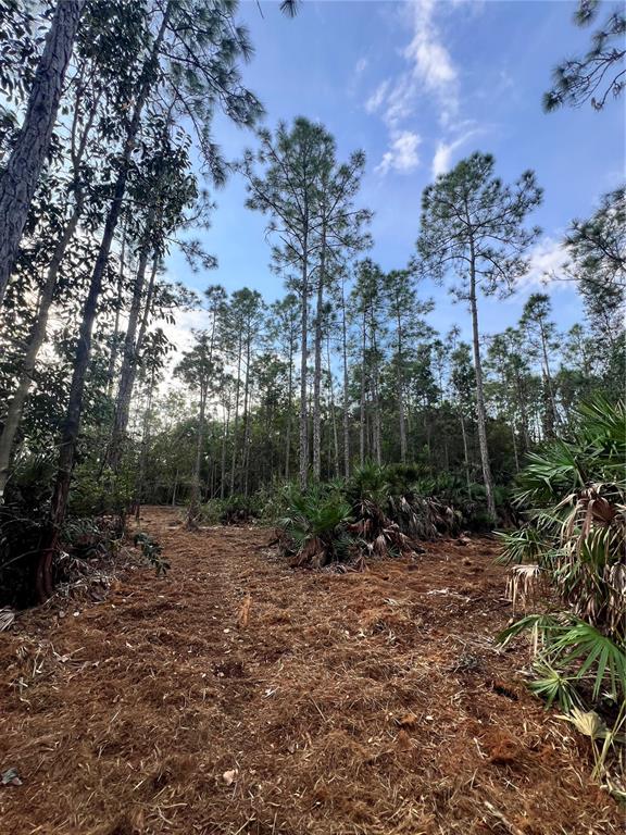 Pantera Lane Naples, FL 34120 - Photo 32 of 49