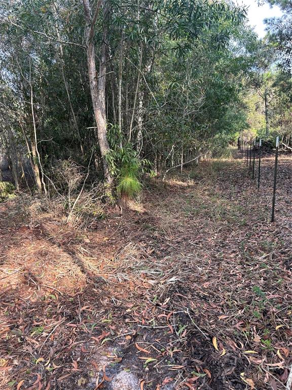 Pantera Lane Naples, FL 34120 - Photo 35 of 49