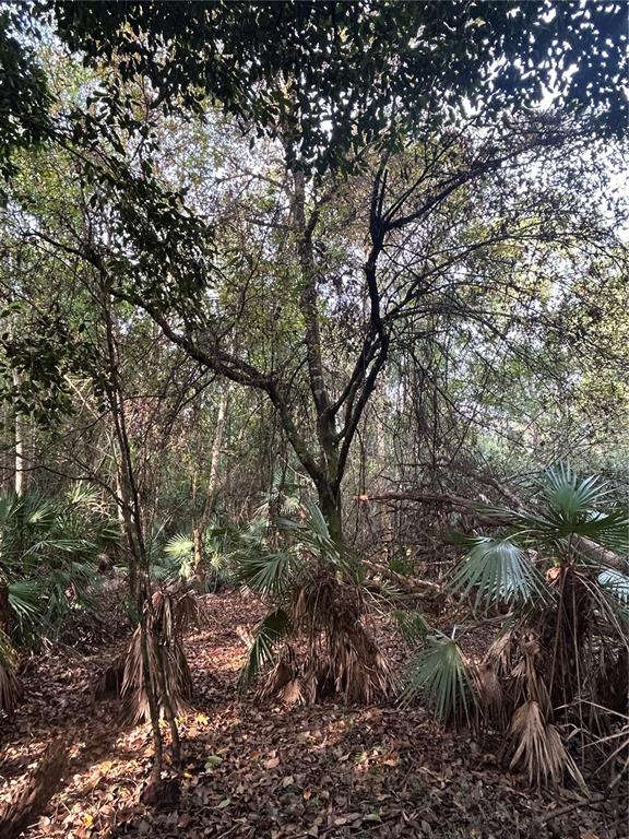 Pantera Lane Naples, FL 34120 - Photo 36 of 49