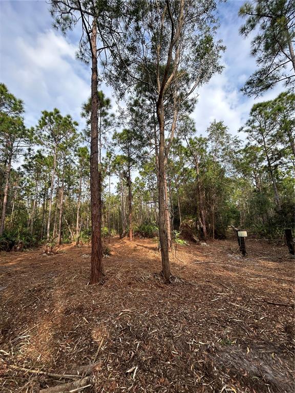 Pantera Lane Naples, FL 34120 - Photo 39 of 49