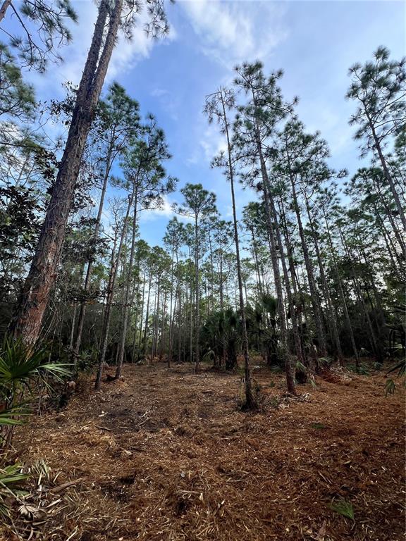 Pantera Lane Naples, FL 34120 - Photo 42 of 49