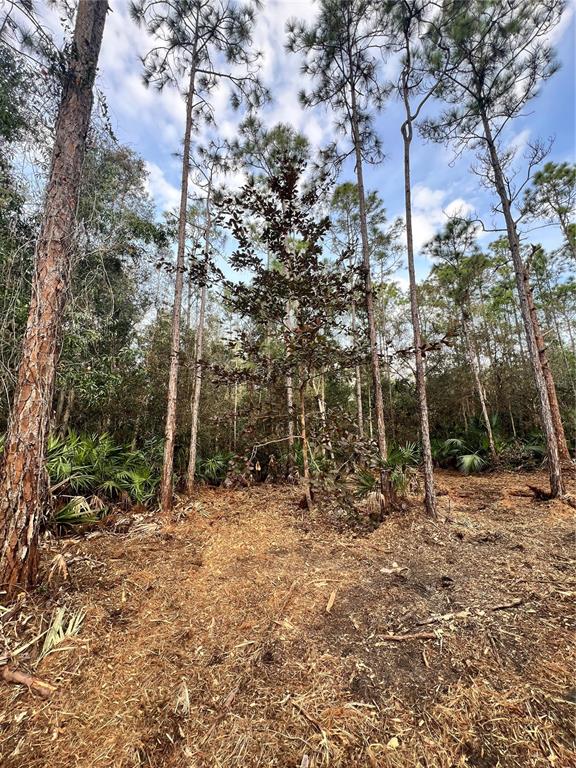 Pantera Lane Naples, FL 34120 - Photo 44 of 49