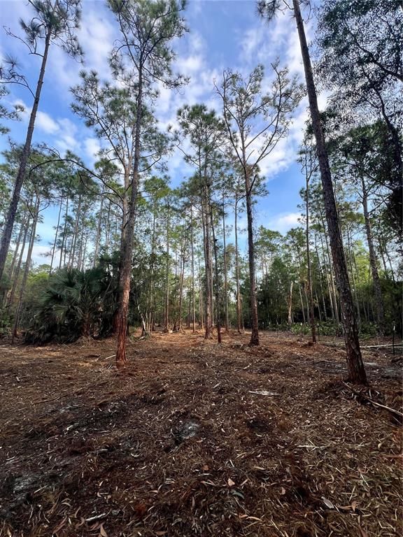 Pantera Lane Naples, FL 34120 - Photo 45 of 49