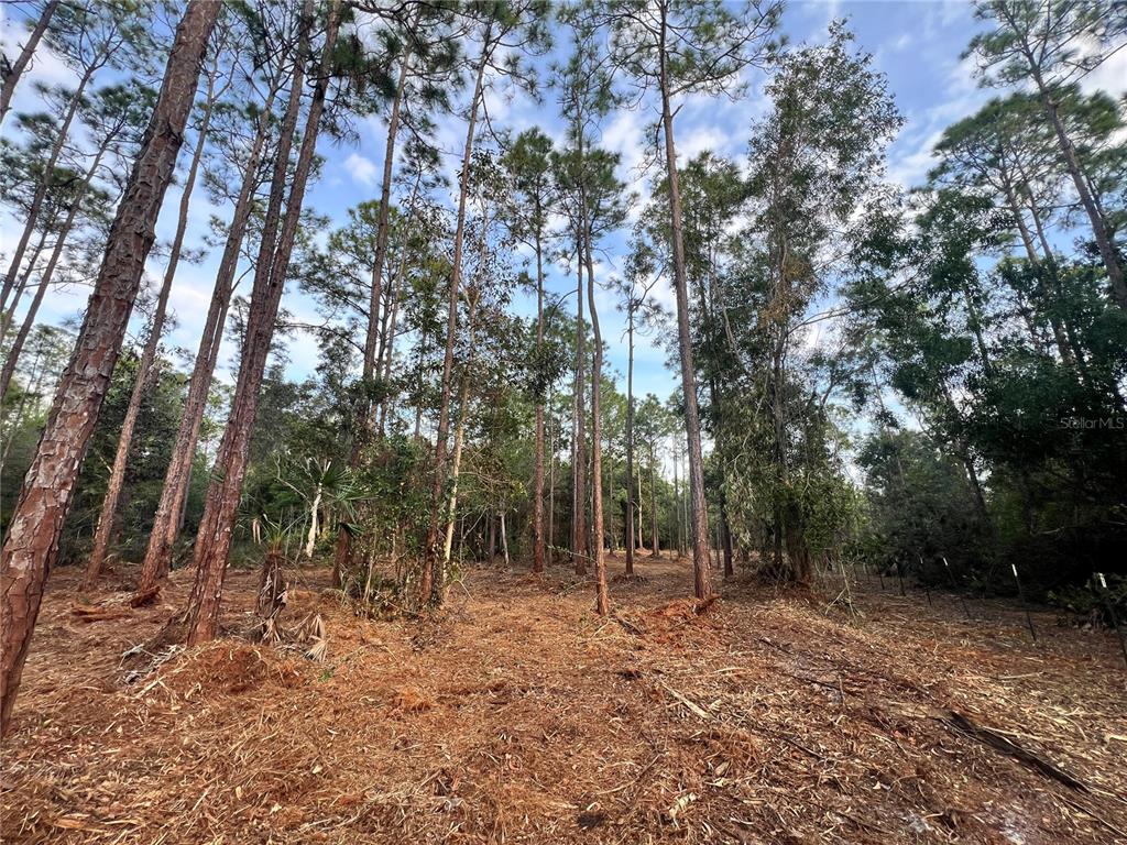 Pantera Lane Naples, FL 34120 - Photo 46 of 49