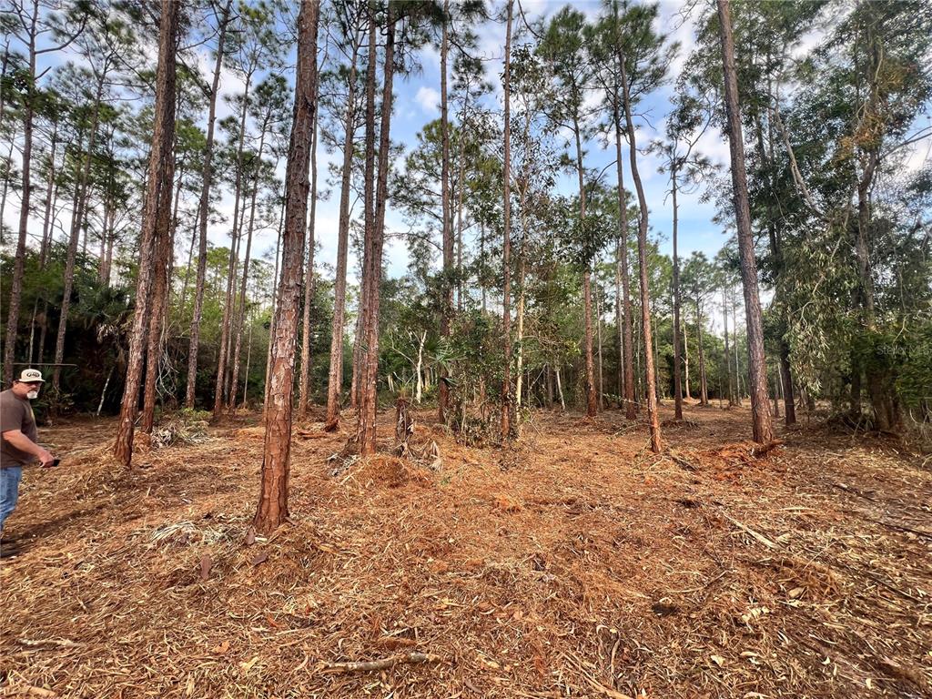 Pantera Lane Naples, FL 34120 - Photo 47 of 49